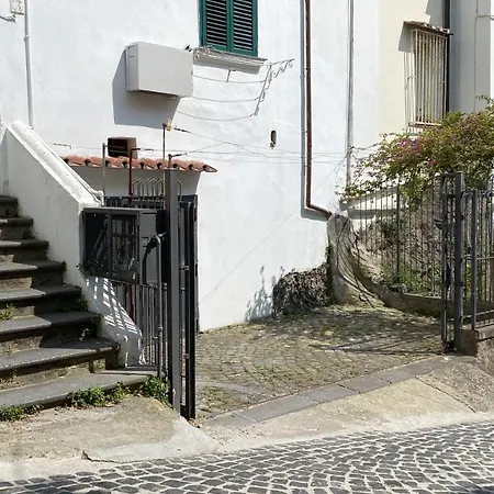 Isabel's House